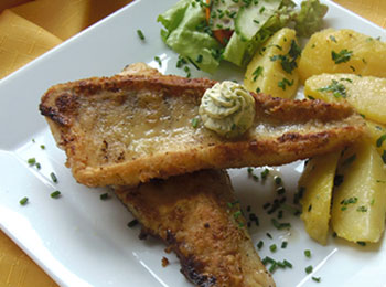 Gasthaus windhaber gussmagg zander Gasthaus windhaber gussmagg zander